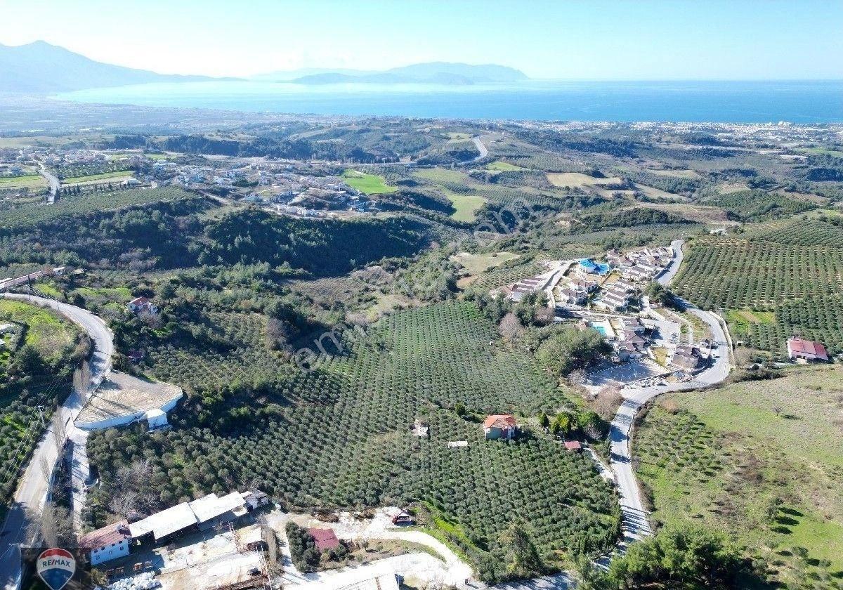 Aydın Kuşadası Yaylaköyde Full Deniz Manzaralı 40 Dönüm Satılık Arazi Yatırıma Uygun M2 Fiyatı - Görsel 5