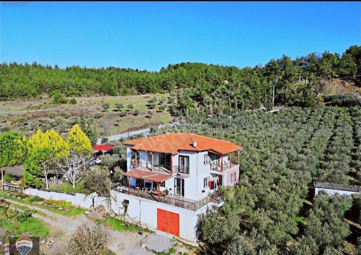 Aydın Kuşadası Yaylaköyde Full Deniz Manzaralı 40 Dönüm Satılık Arazi Yatırıma Uygun M2 Fiyatı - Görsel 7