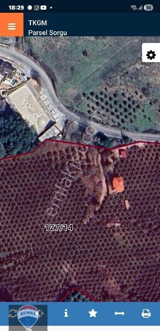 Aydın Kuşadası Yaylaköyde Full Deniz Manzaralı 40 Dönüm Satılık Arazi Yatırıma Uygun M2 Fiyatı - Görsel 15