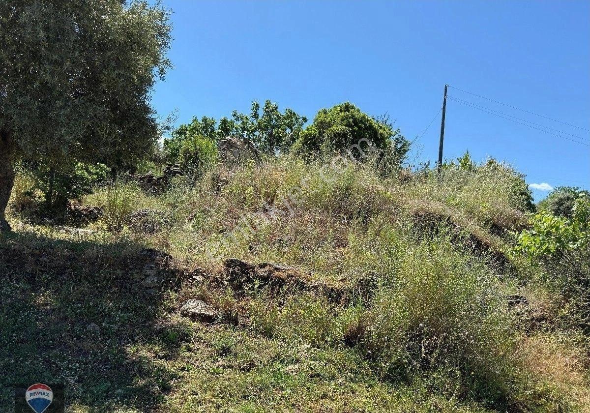 Aydın Yenipazar Karaçakal Mah.satılık İmarlı Arsa - Görsel 23