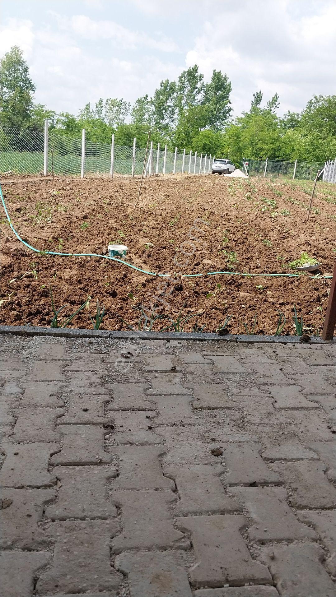 Yol Kenarı Suyu Var. Muazzam Bir Bahce - Görsel 12