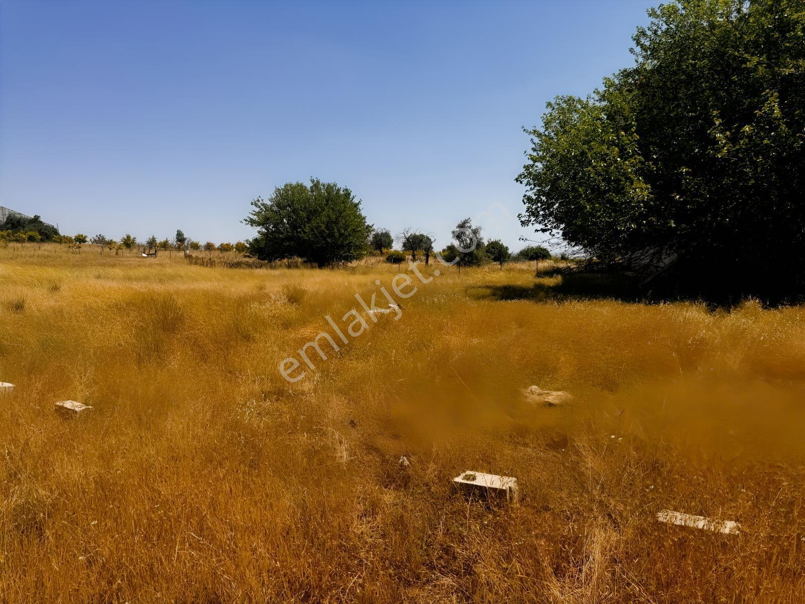 Antalya Aksu Murtuna Mahallesi 1591 M2 Satılık Ticari Arsa - Görsel 23