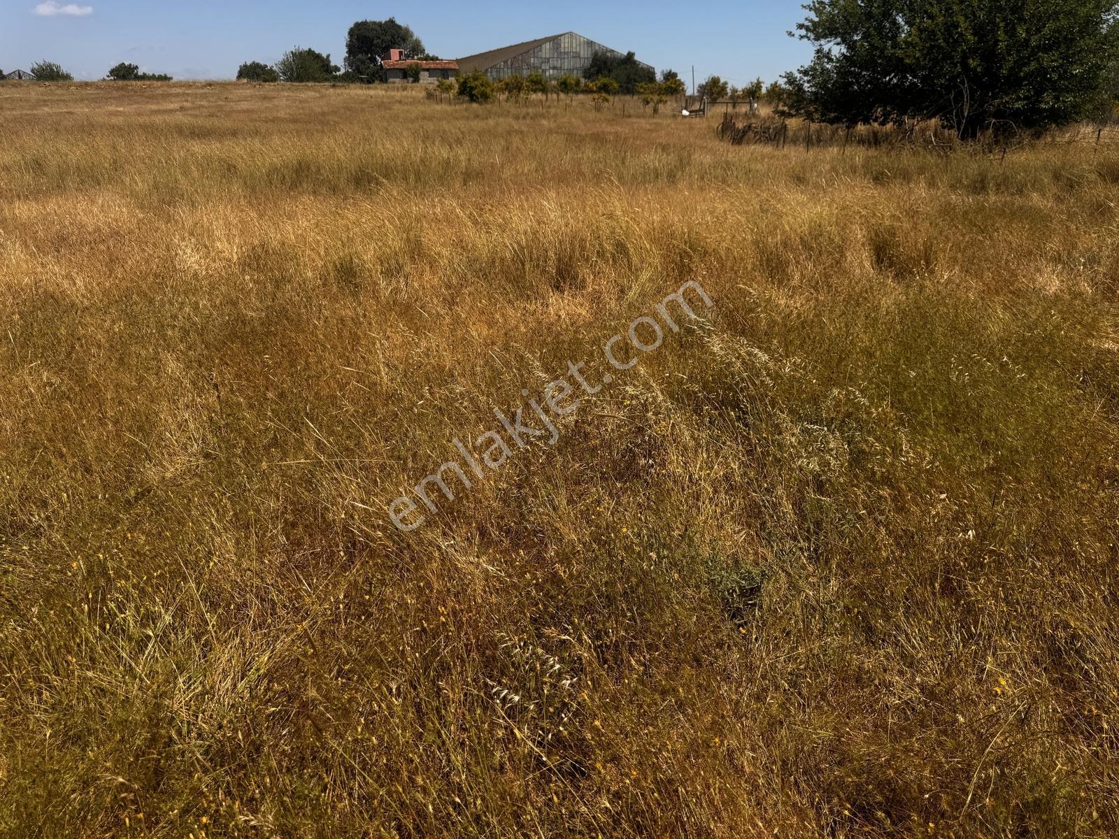 Antalya Aksu Murtuna Mahallesi 1591 M2 Satılık Ticari Arsa - Görsel 8