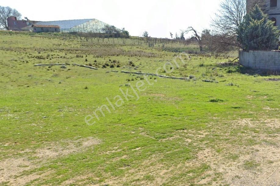 Antalya Aksu Murtuna Mahallesi 1591 M2 Satılık Ticari Arsa - Görsel 18