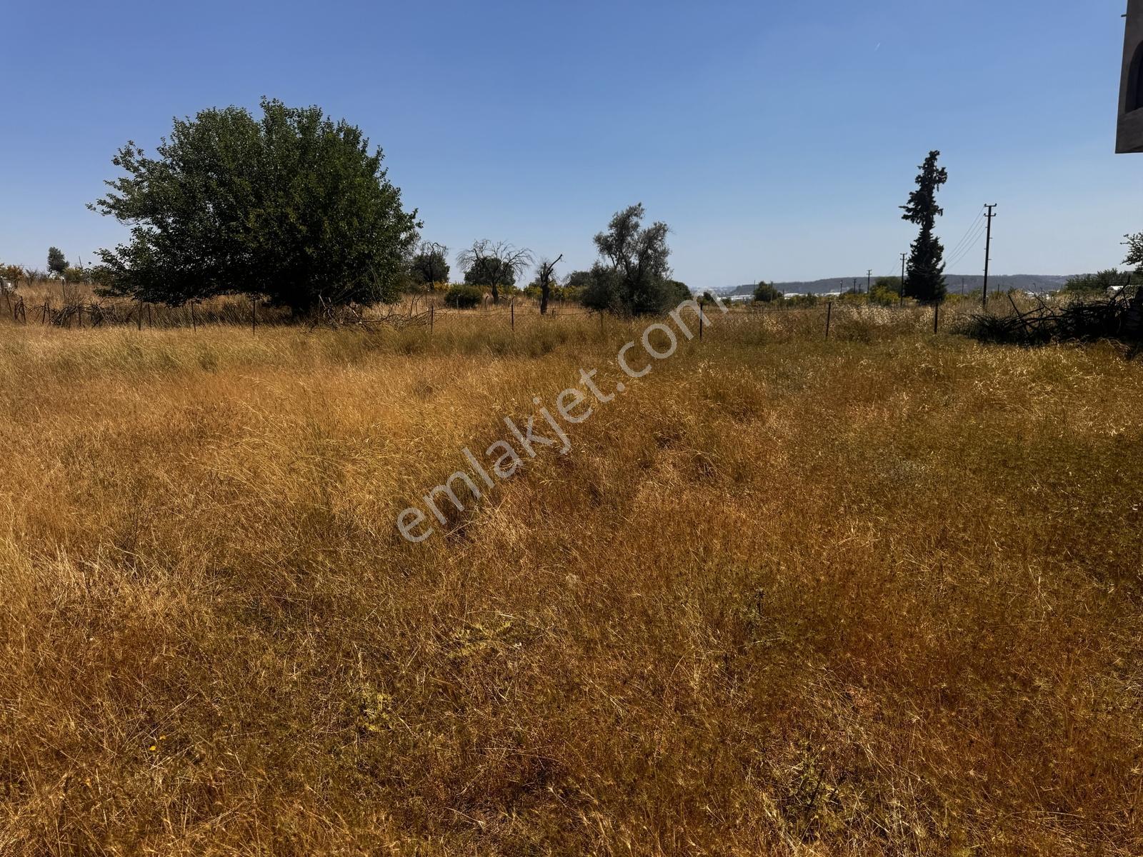 Antalya Aksu Murtuna Mahallesi 1591 M2 Satılık Ticari Arsa - Görsel 15