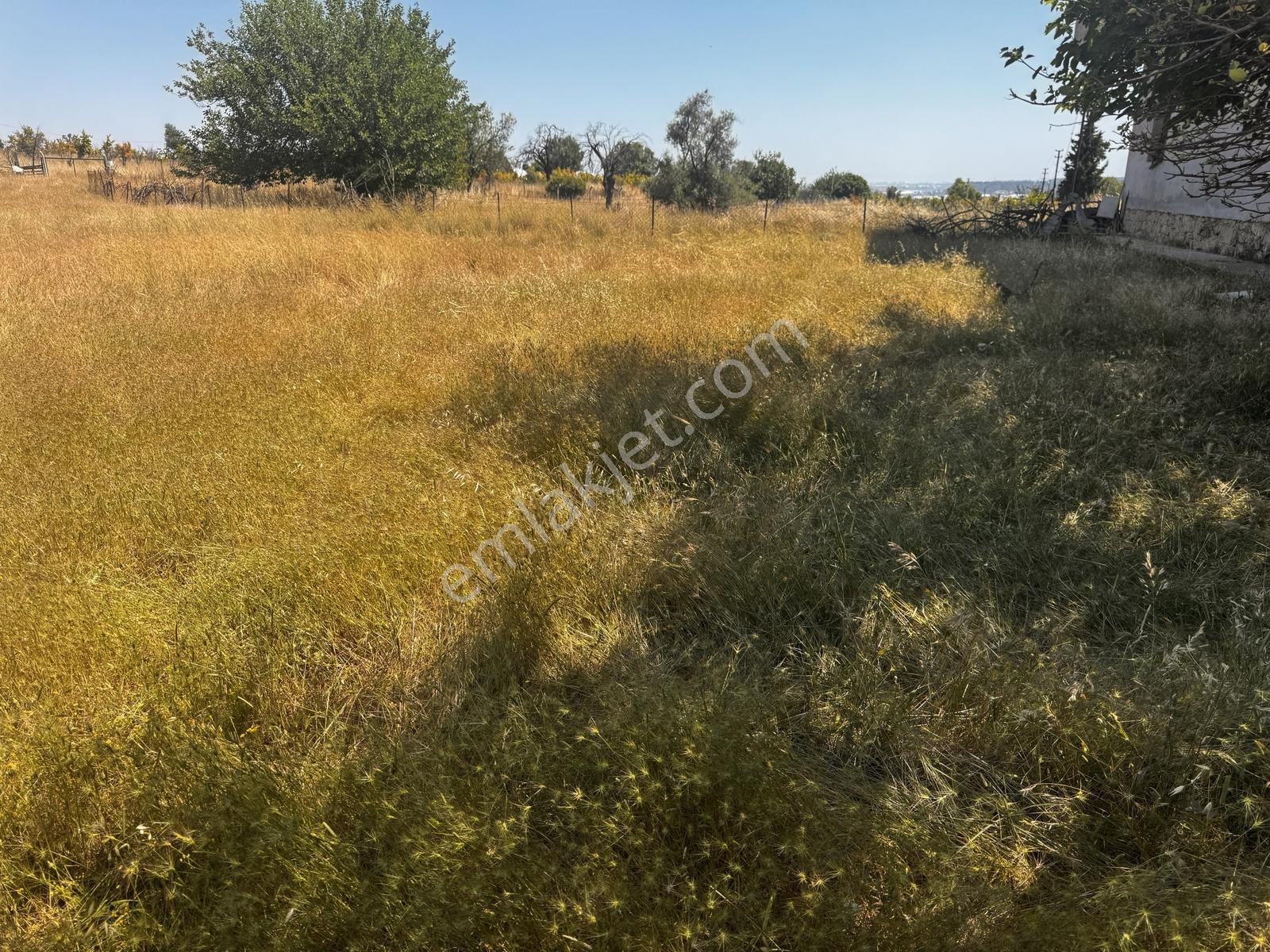 Antalya Aksu Murtuna Mahallesi 1591 M2 Satılık Ticari Arsa - Görsel 9