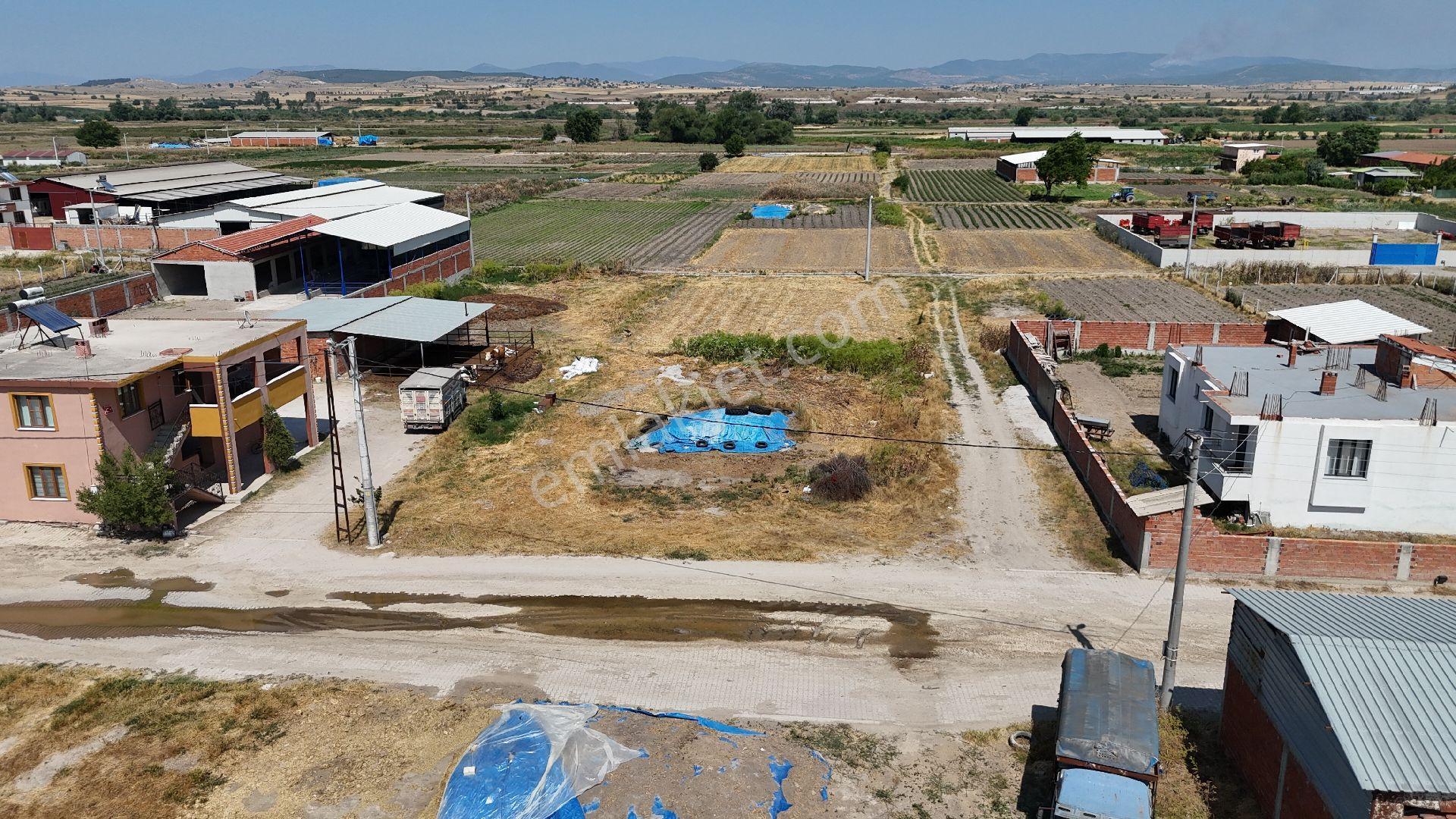 Balıkesir/altıeylül/çandır Mahallesi'nde