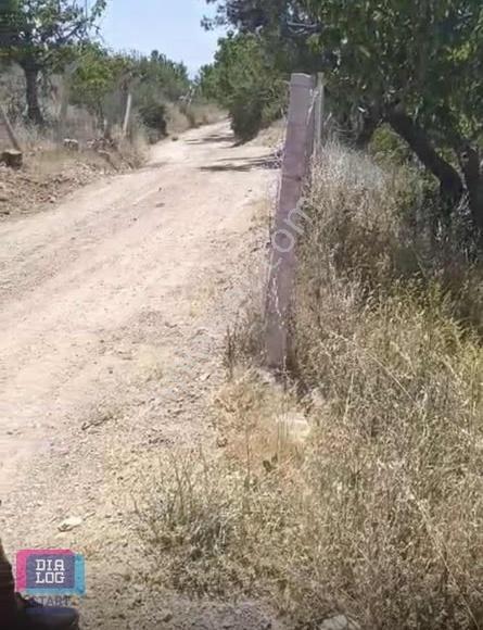 Yol Cepheli Yatırımlık Hisseli Tarla 350 M² - Görsel 7