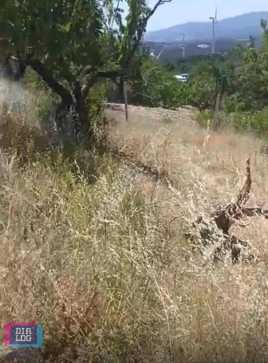 Yol Cepheli Yatırımlık Hisseli Tarla 350 M²