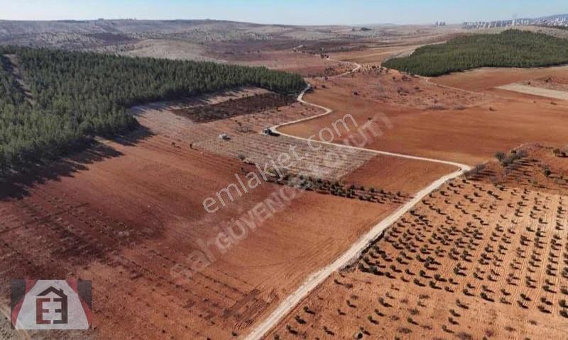 İmara Komşu Fırsat Tamamı 1.350.000 Tl - Görsel 2