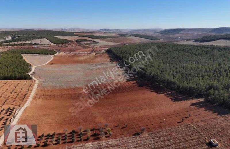 İmara Komşu Fırsat Tamamı 1.350.000 Tl - Görsel 6