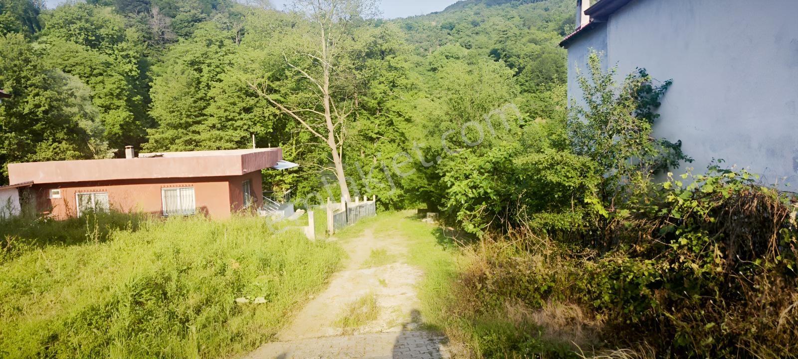 Daire Parasına 420 Metrekare Arsa İçinde Ruhsatlı Müstakil Ev - Görsel 3