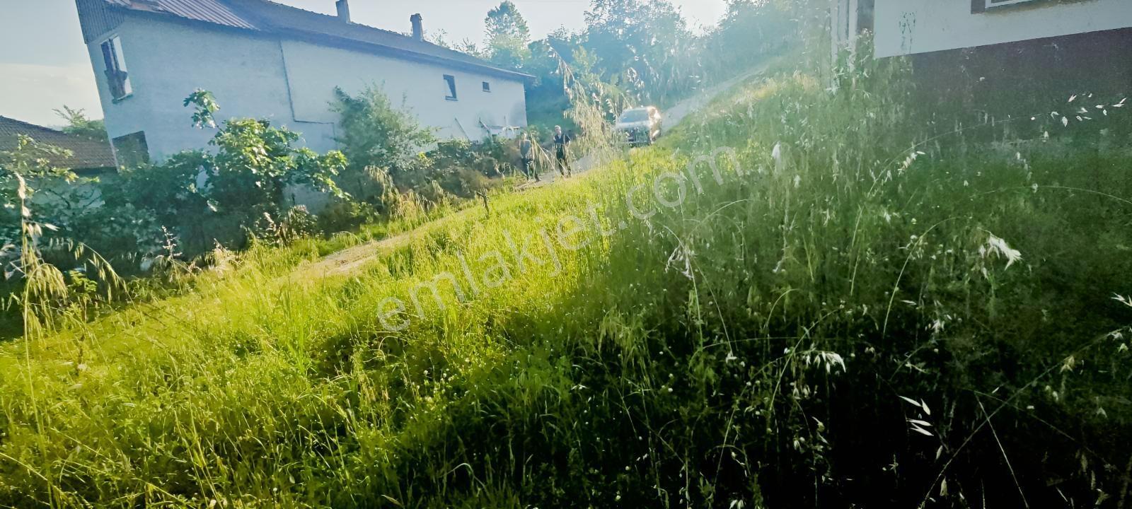 Daire Parasına 420 Metrekare Arsa İçinde Ruhsatlı Müstakil Ev - Görsel 2