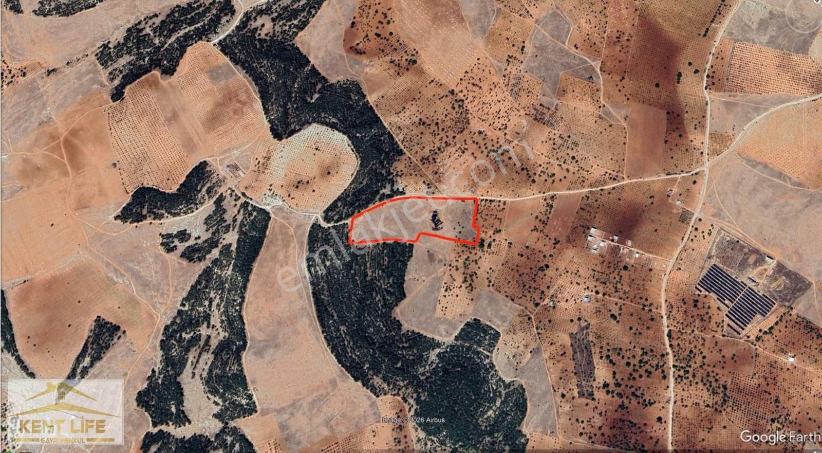 Evva 'dan Bilekte Satılık Yatırım Fırsatı 24 Dönüm Arazi - Görsel 2