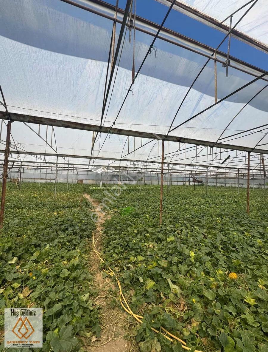 Antalya Aksu Dumanlar Mahallesi Müstakil 6,277 M2 Arsalı - Görsel 4