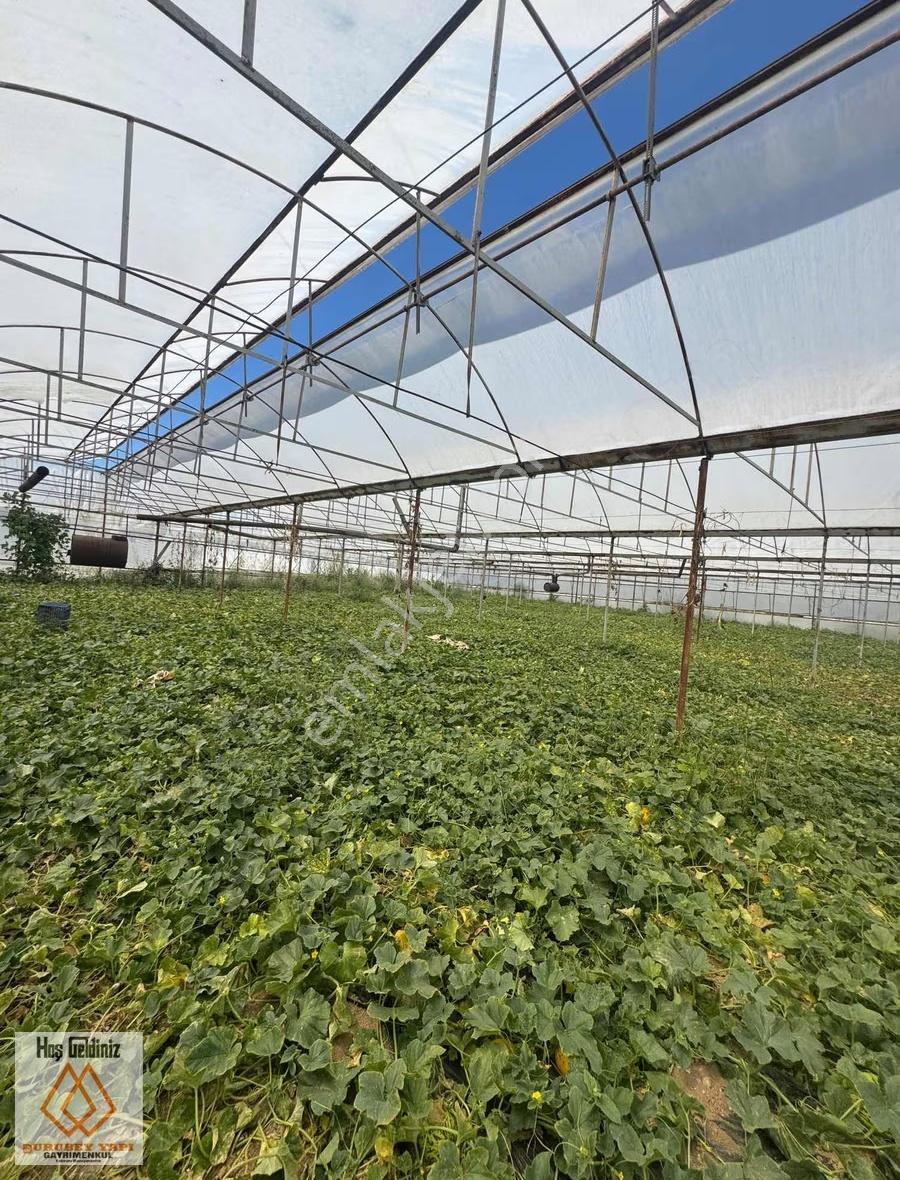 Antalya Aksu Dumanlar Köyü'nde Müstakil Evli 6277 Metre² Tarla - Görsel 6