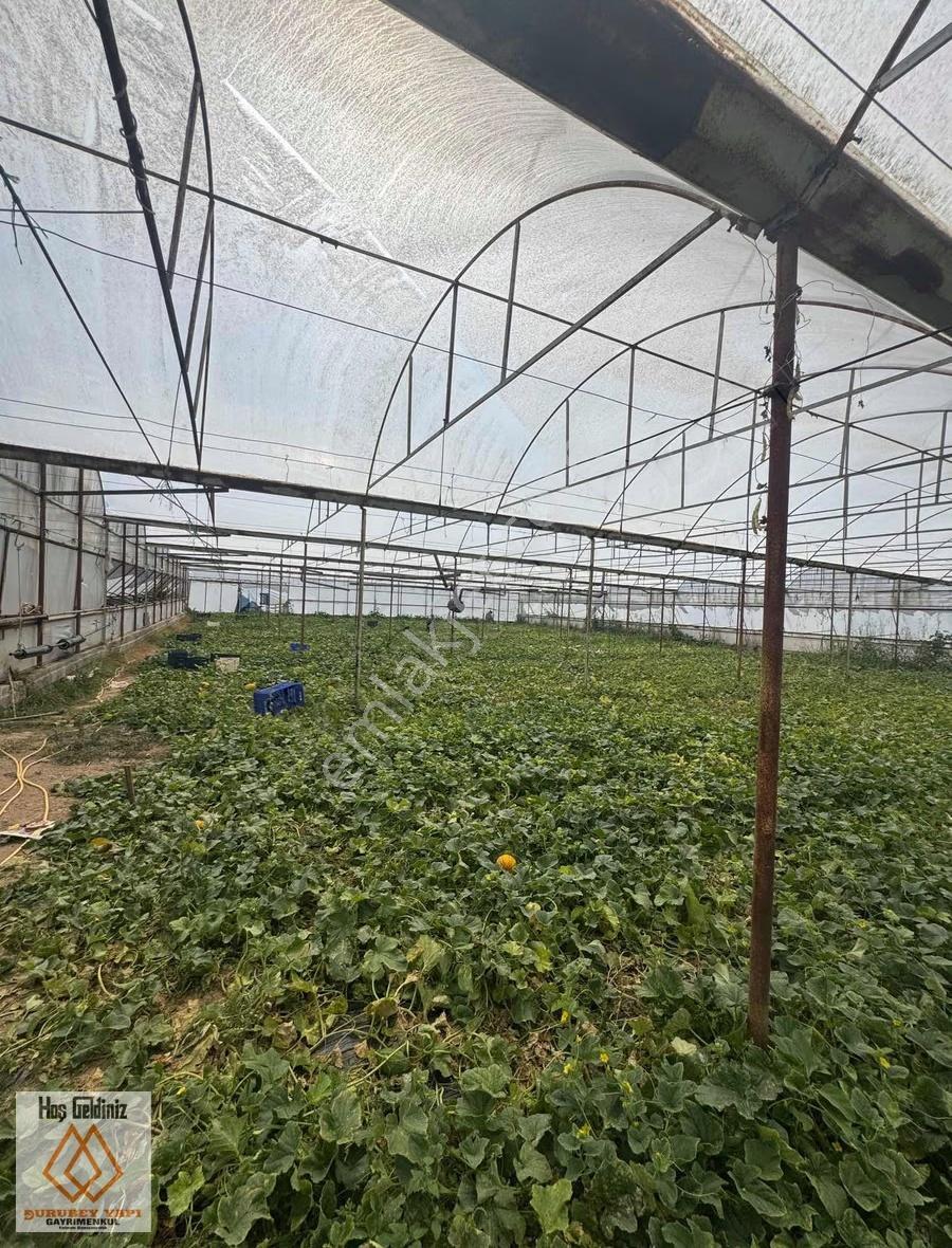 Antalya Aksu Dumanlar Köyü'nde Müstakil Evli 6277 Metre² Tarla - Görsel 3