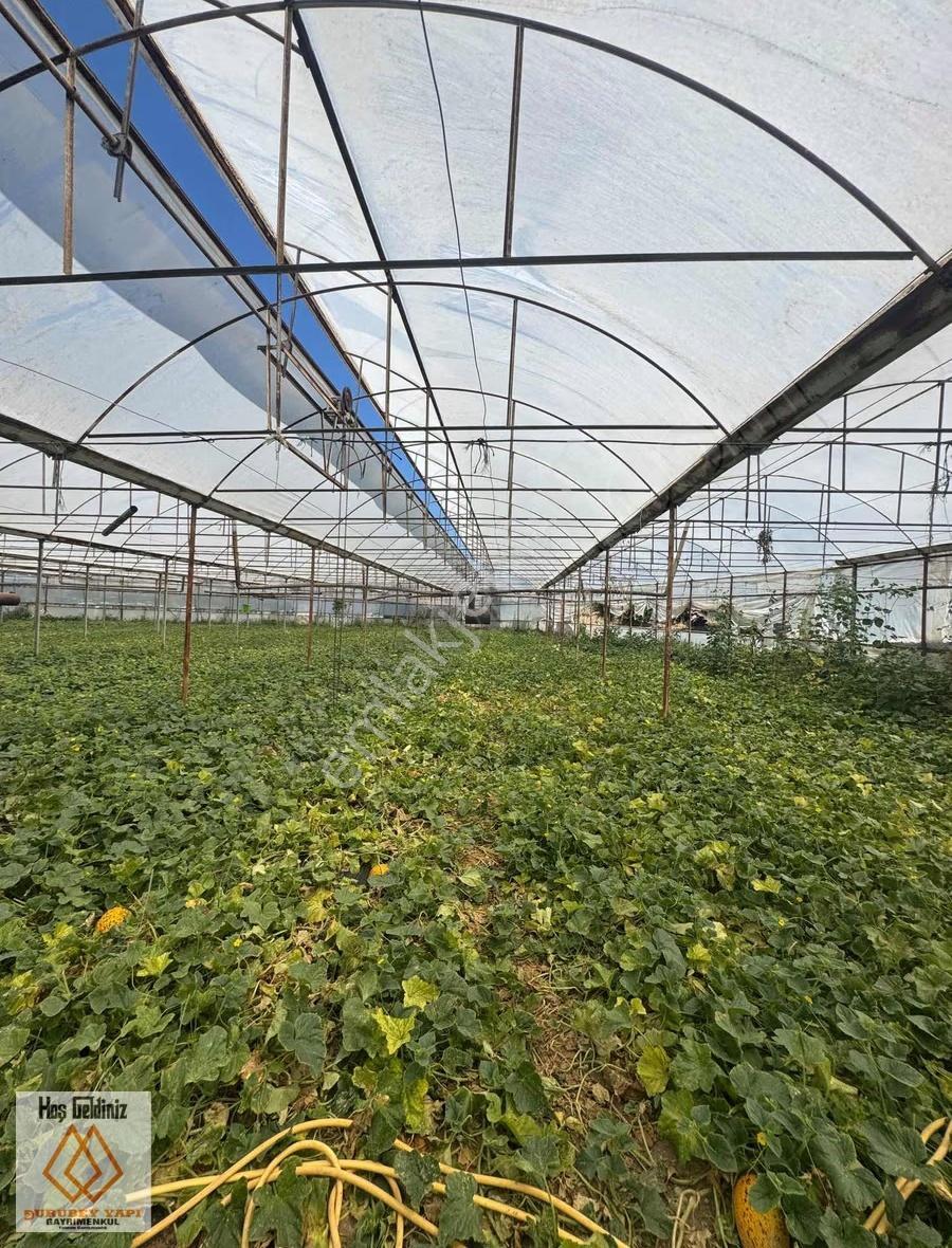 Antalya Aksu Dumanlar Köyü'nde Müstakil Evli 6277 Metre² Tarla - Görsel 9
