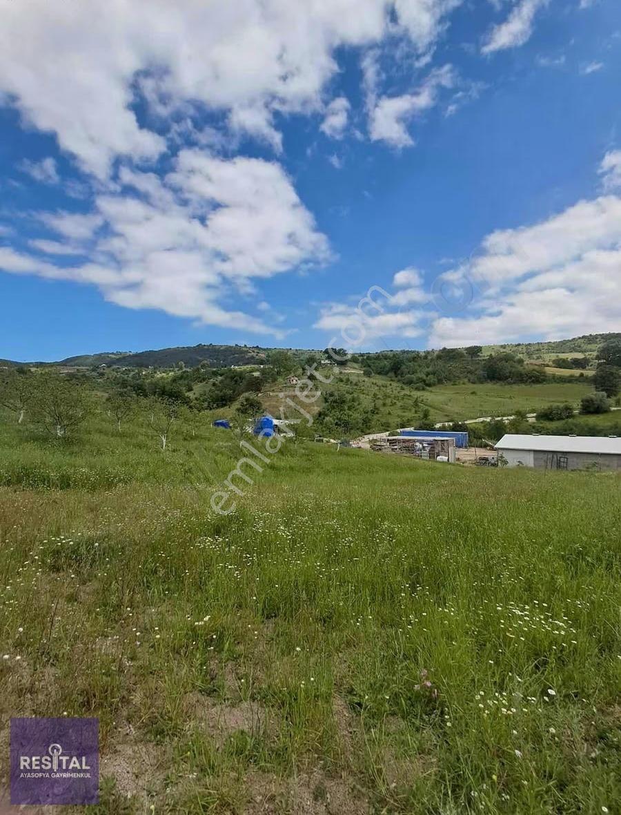 Yenişehir Süleymaniye'de 1638m2 Satılık Hobi Bahcesi - Görsel 3