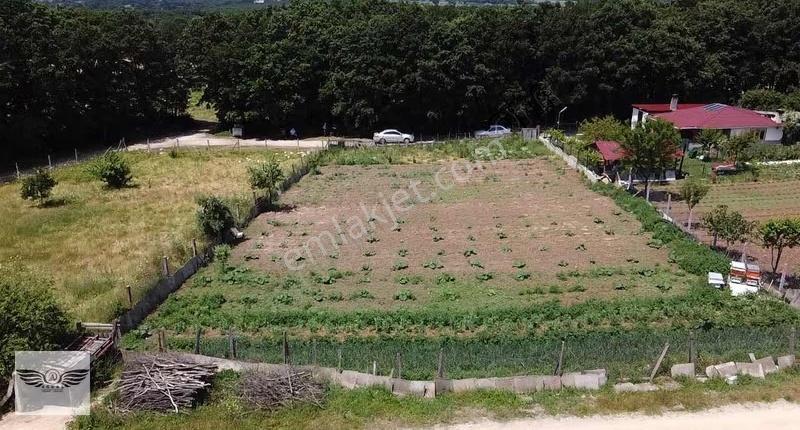 Pınarcada Tek Tapu 1043 M2 Arsa - Görsel 7