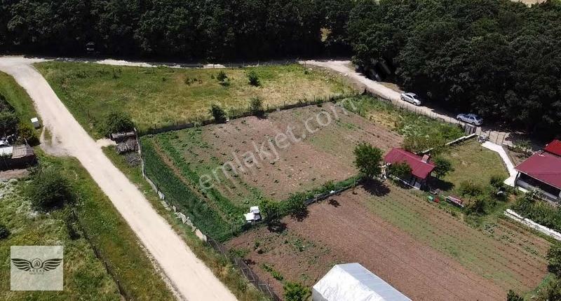 Pınarcada Tek Tapu 1043 M2 Arsa - Görsel 21