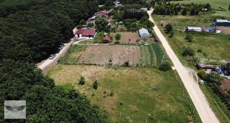 Pınarcada Tek Tapu 1043 M2 Arsa - Görsel 12