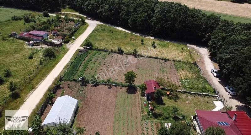 Pınarcada Tek Tapu 1043 M2 Arsa - Görsel 3