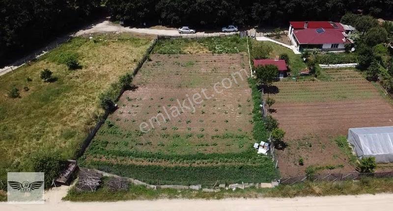 Pınarcada Tek Tapu 1043 M2 Arsa - Görsel 10