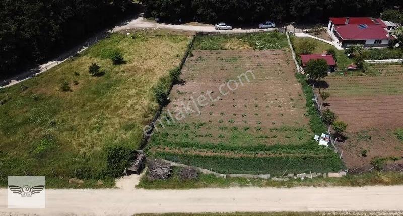 Pınarcada Tek Tapu 1043 M2 Arsa - Görsel 20