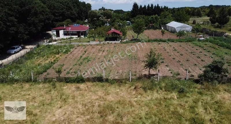 Pınarcada Tek Tapu 1043 M2 Arsa - Görsel 22