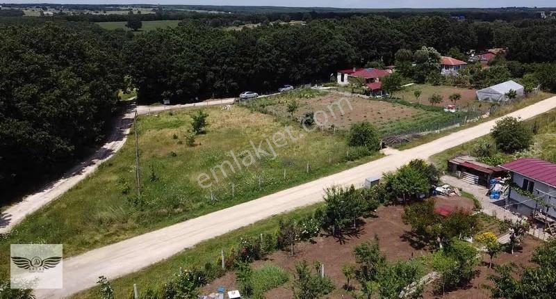 Pınarcada Tek Tapu 1043 M2 Arsa - Görsel 8