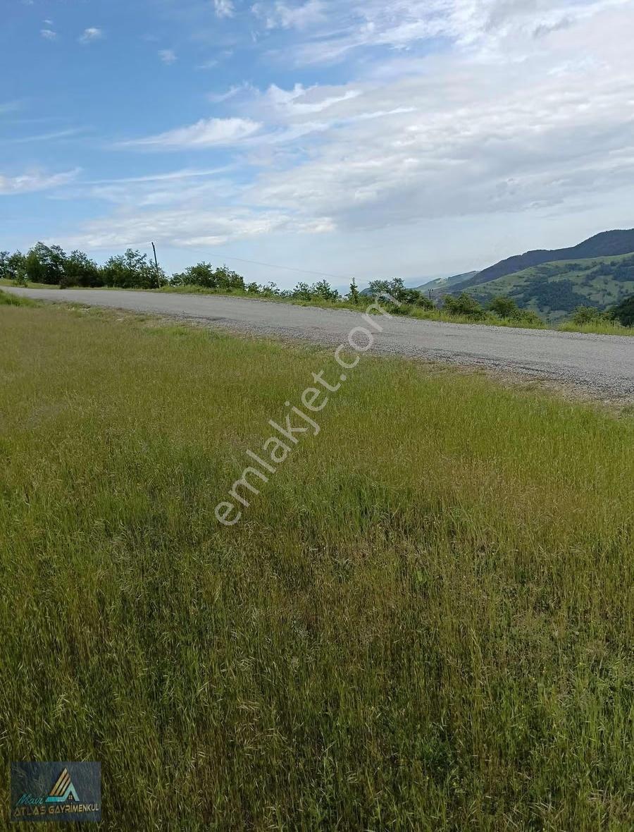 Samsun Alaçam Da 4465 M2 Satılık Tarla