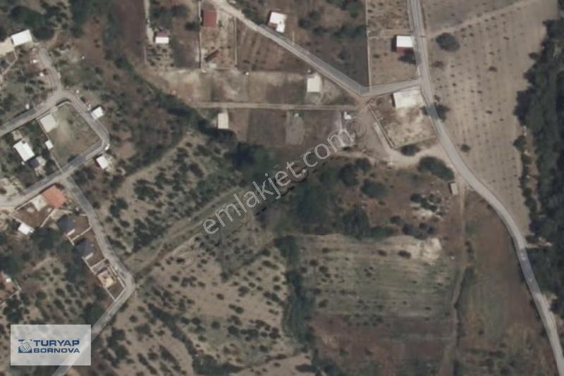 Turyap'tan Damlacık'ta Satılık 250 M2 Bağ