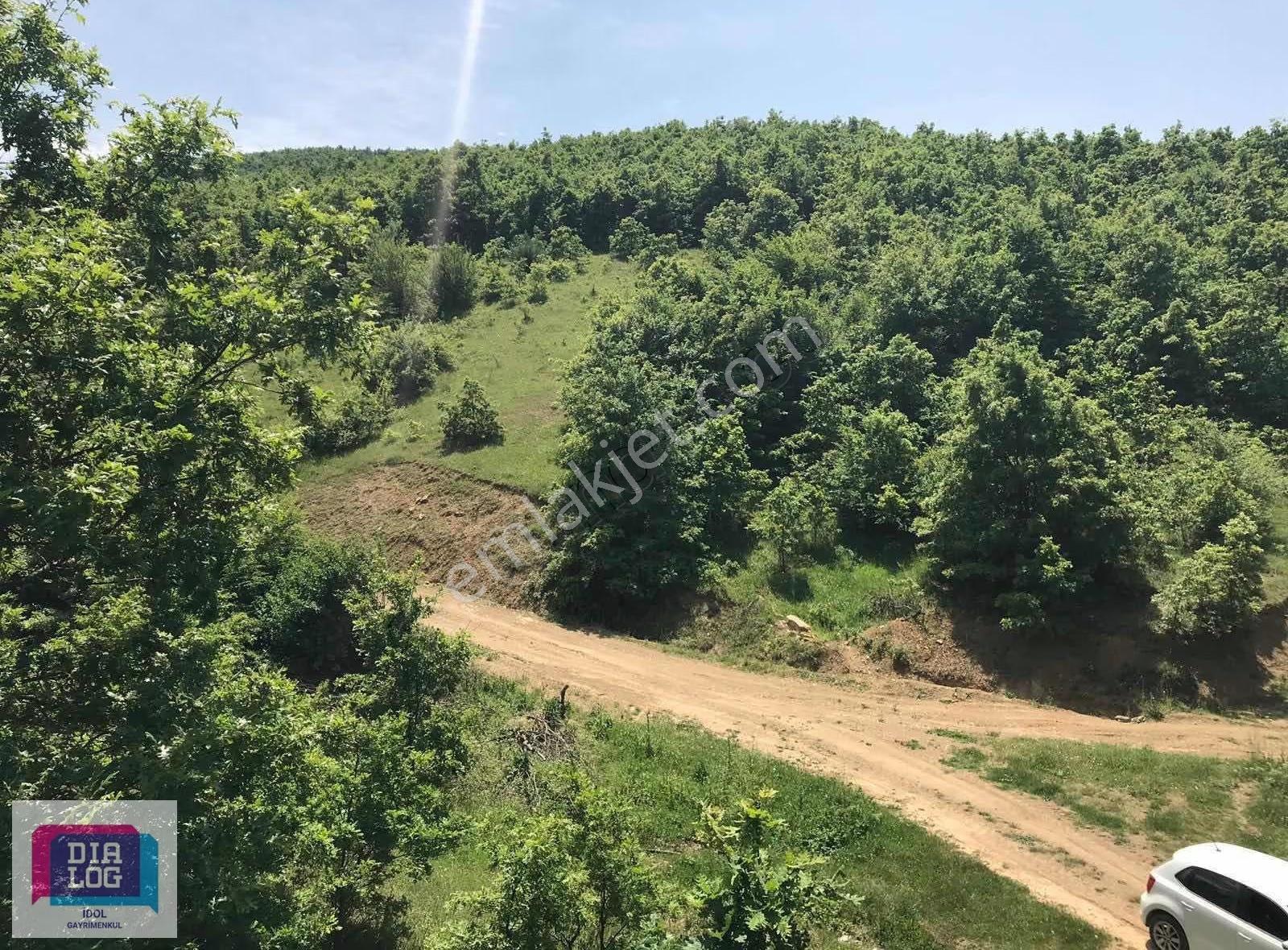 Yenışehır Paşa Yaylada Satılık 5.200 M2 Tarla - Görsel 9