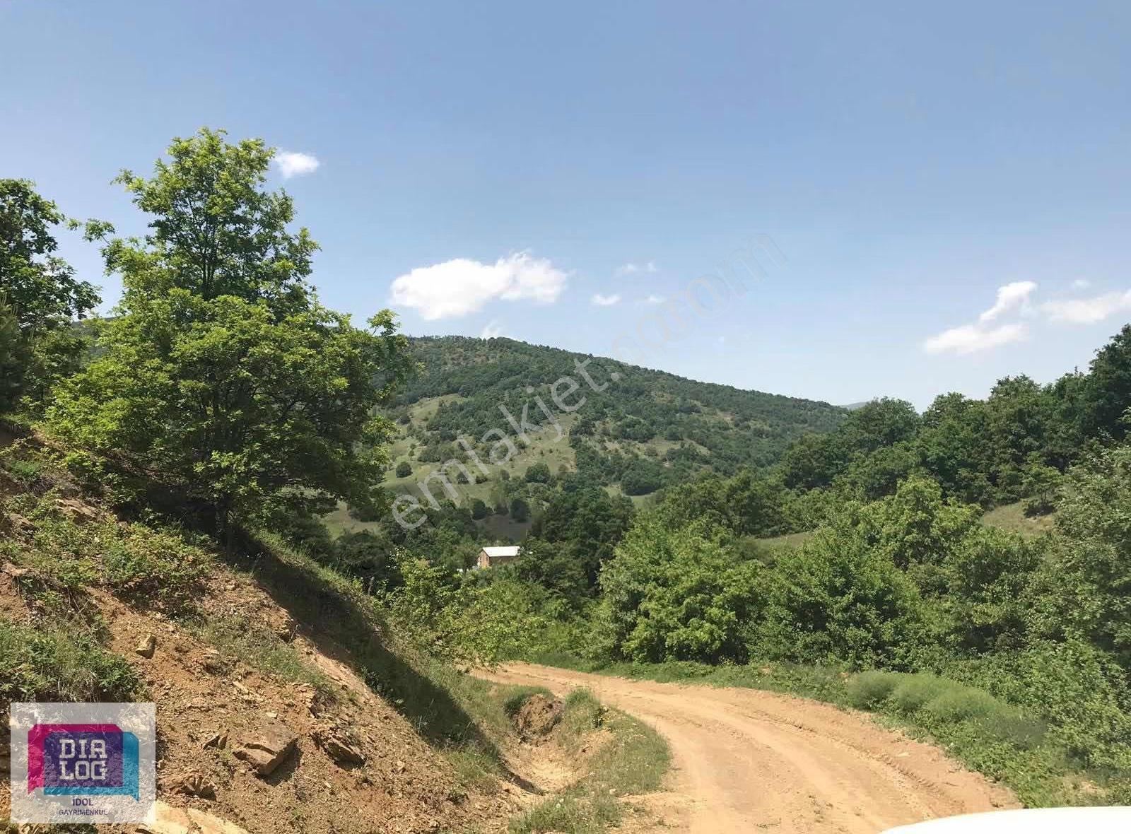Yenışehır Paşa Yaylada Satılık 5.200 M2 Tarla - Görsel 7