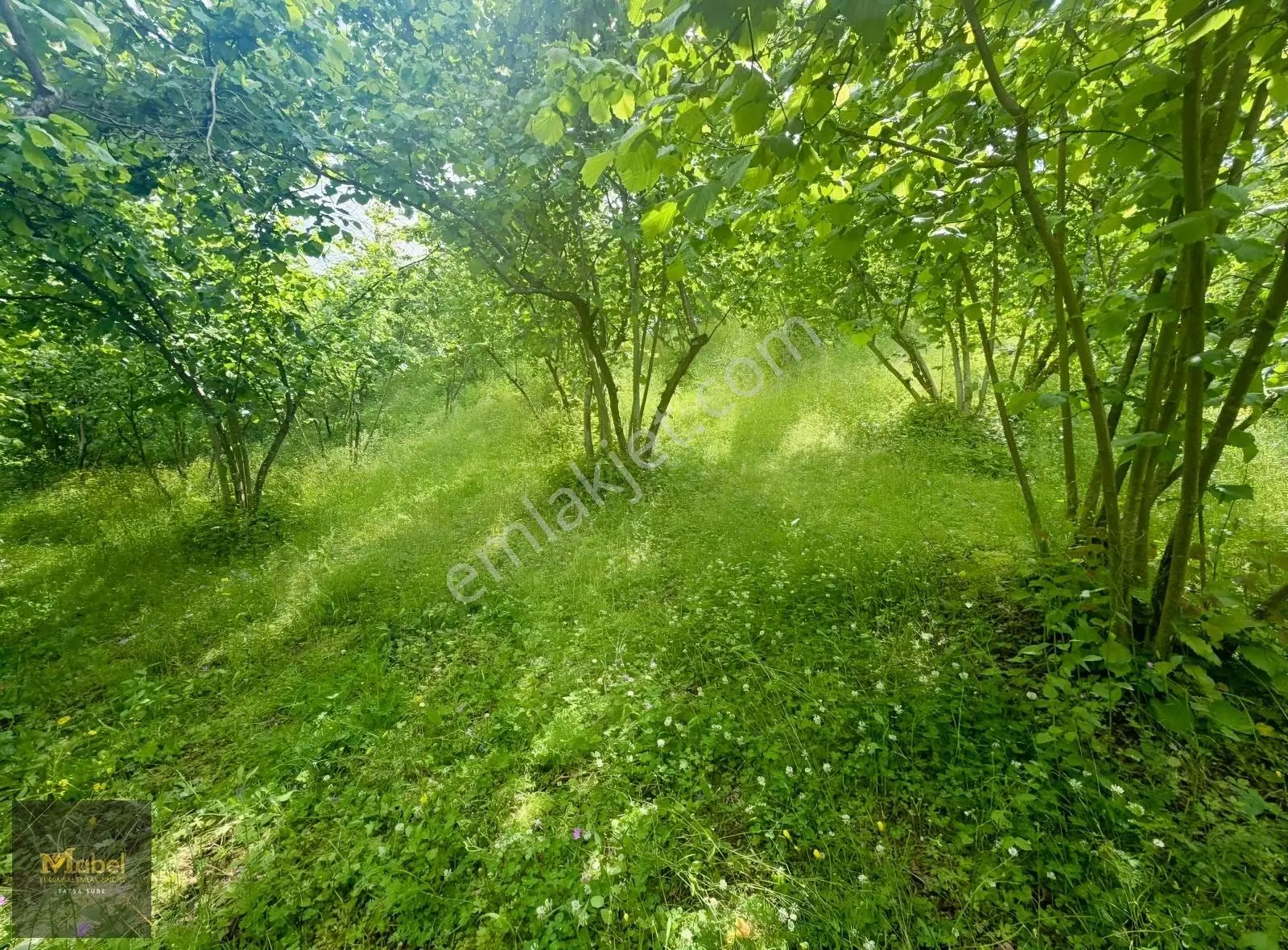 Mabelden 'meşebükü Mah. Anlayanlar Mah. Mah. Yakını Satılık Arsa - Görsel 3