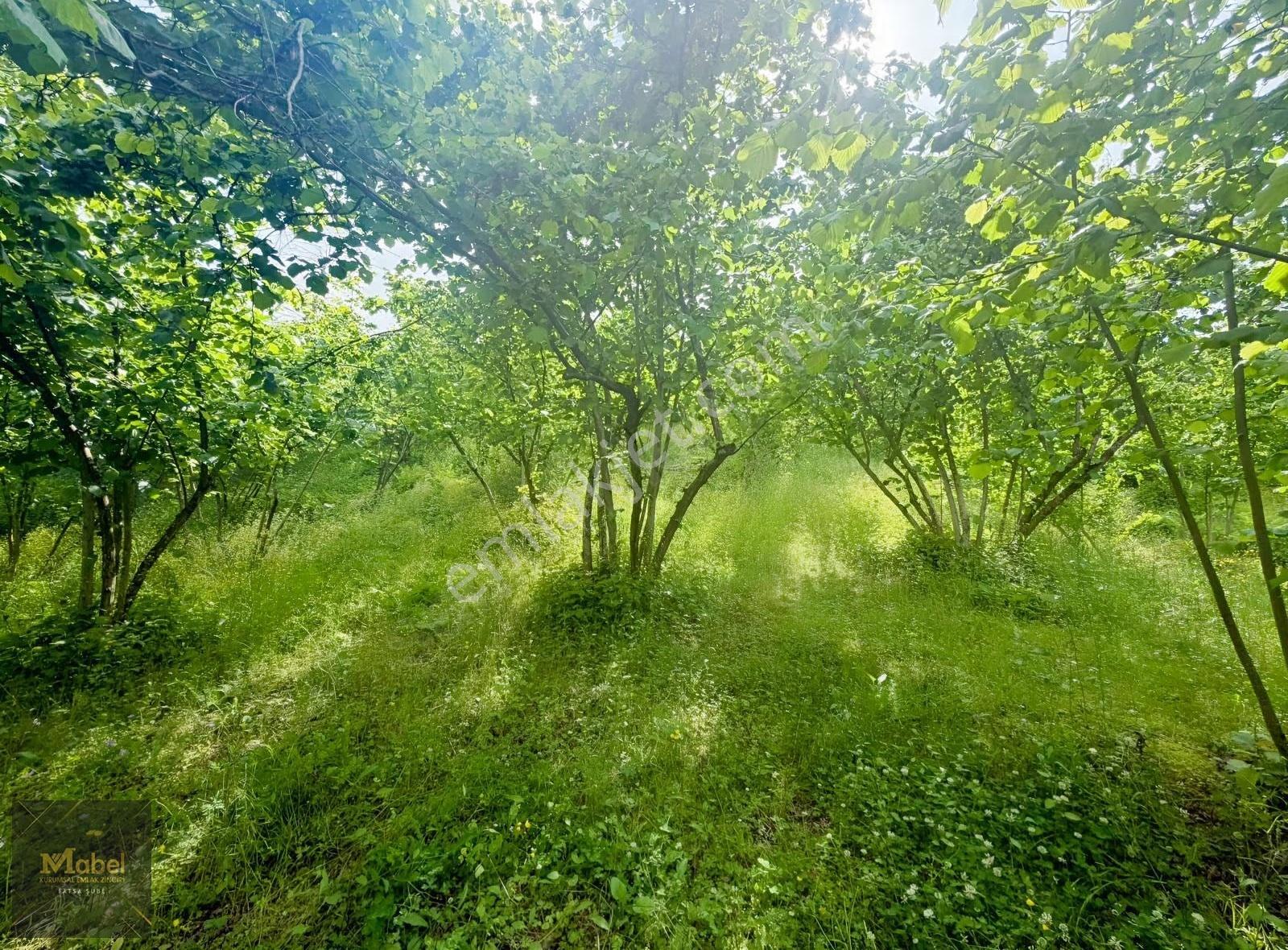 Mabelden 'meşebükü Mah. Anlayanlar Mah. Mah. Yakını Satılık Arsa - Görsel 9