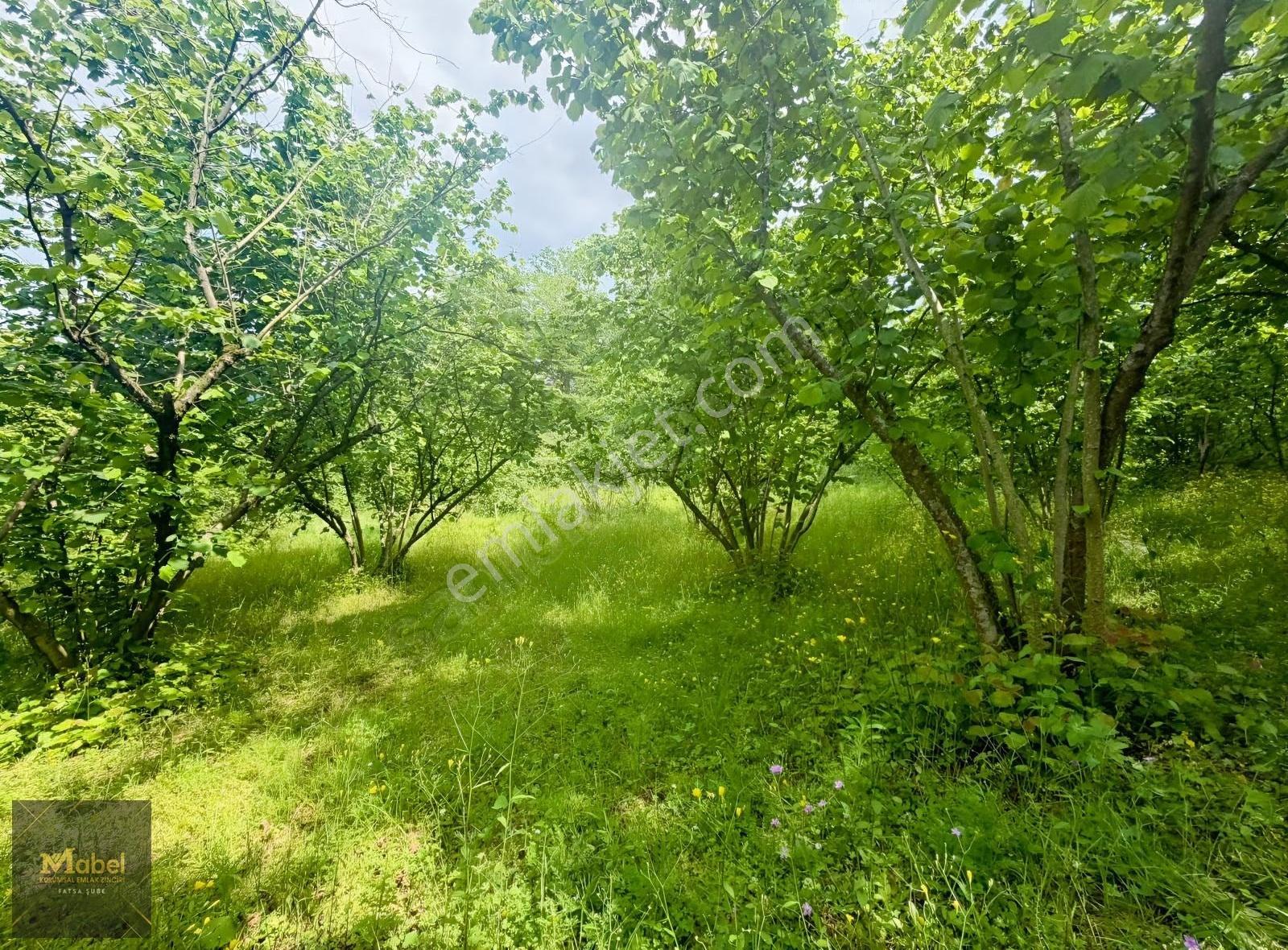 Mabelden 'meşebükü Mah. Anlayanlar Mah. Mah. Yakını Satılık Arsa - Görsel 7