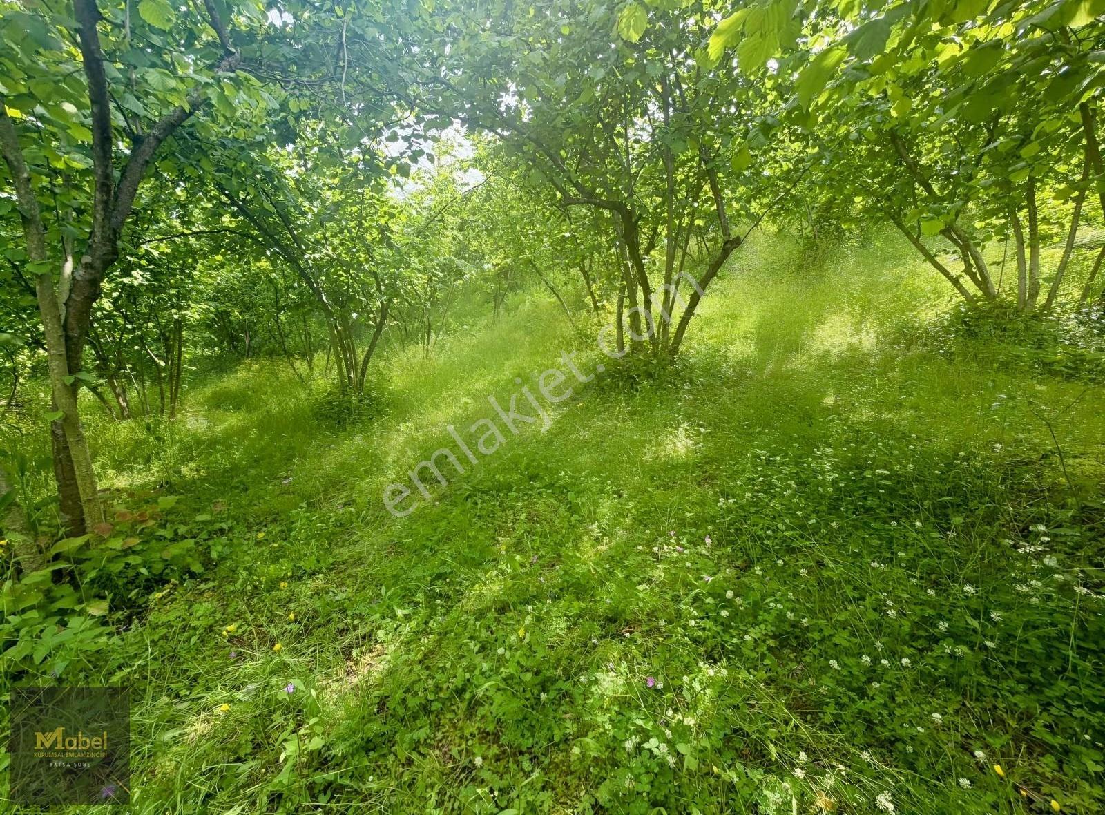 Mabelden 'meşebükü Mah. Anlayanlar Mah. Mah. Yakını Satılık Arsa - Görsel 11