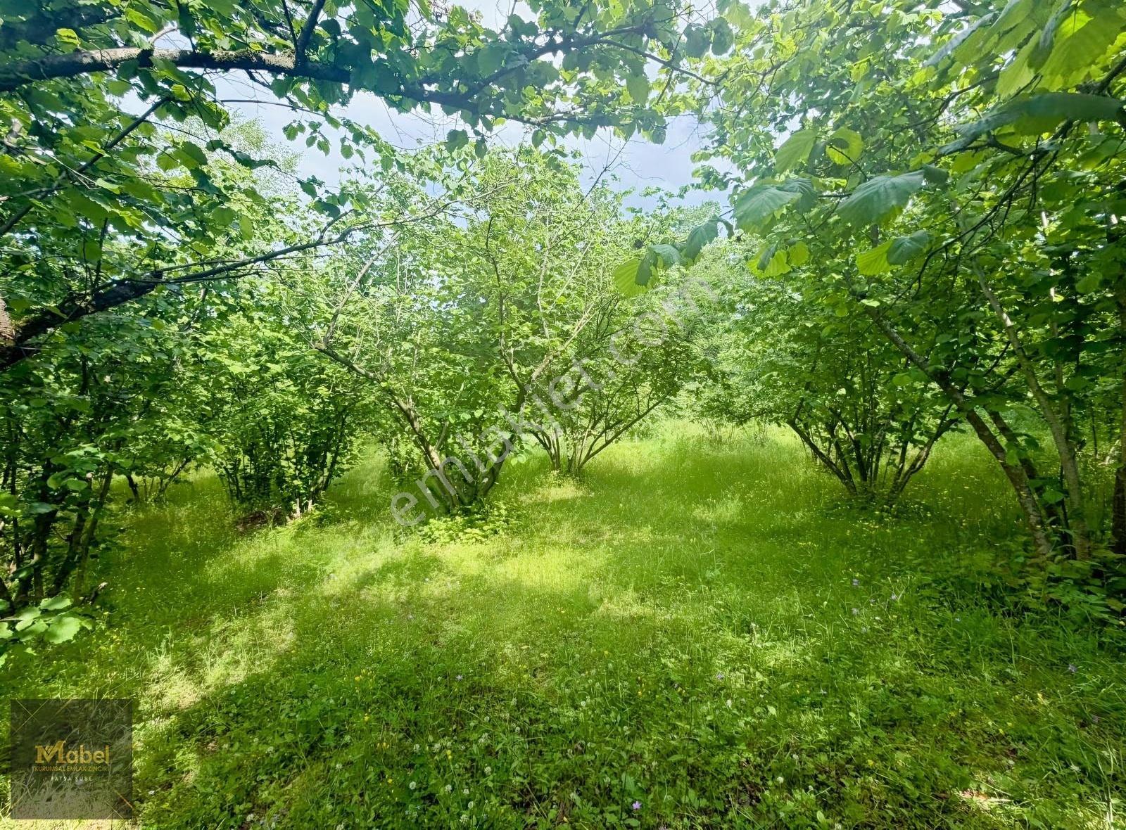 Mabelden 'meşebükü Mah. Anlayanlar Mah. Mah. Yakını Satılık Arsa - Görsel 21