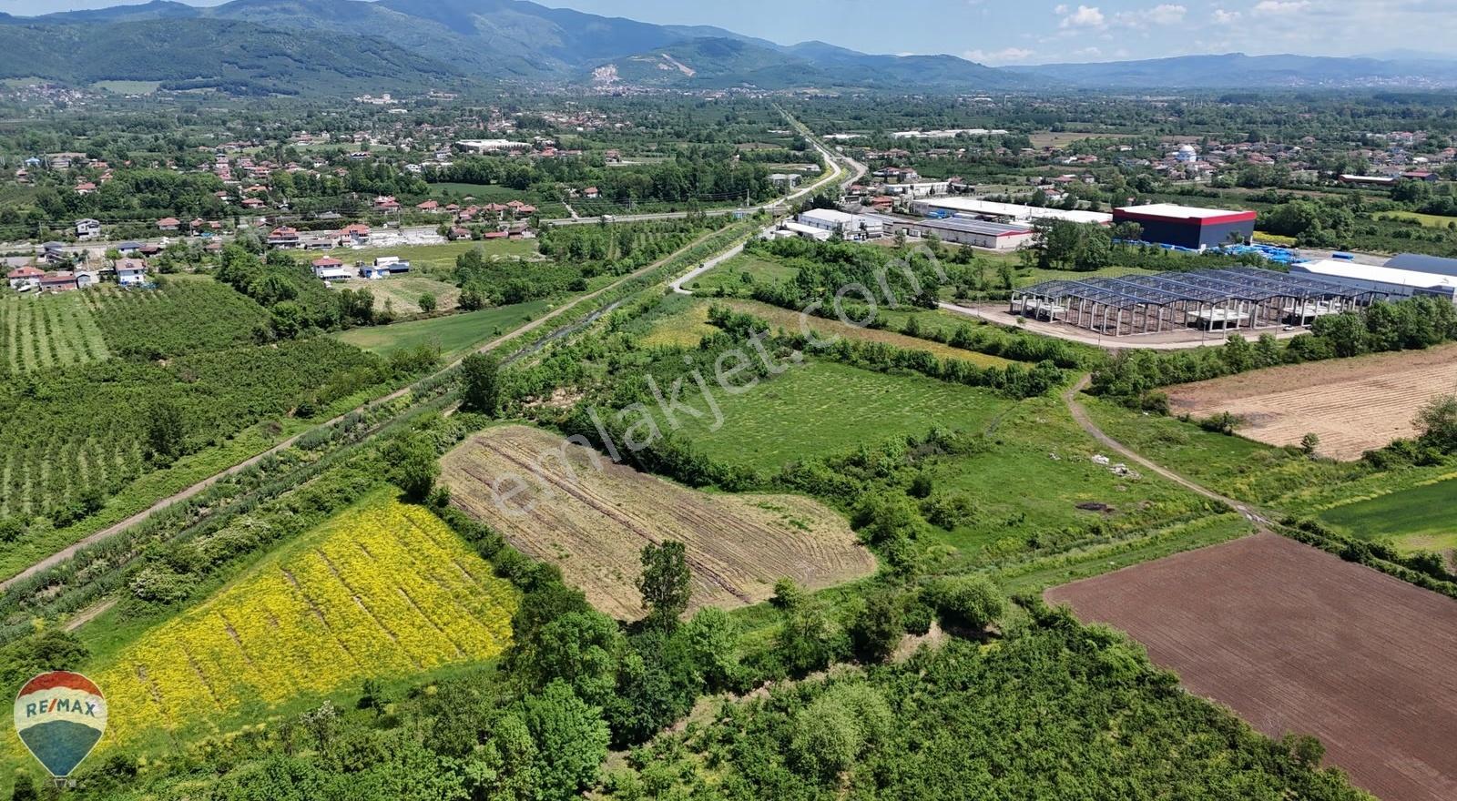 Düzce / Gümüşova Hacıkadirlerde 7.108 M² Sanayi İmarlı Arsa - Görsel 13