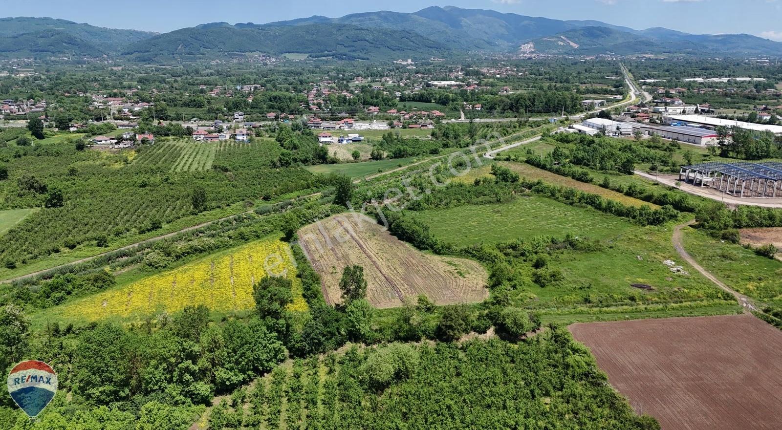Düzce / Gümüşova Hacıkadirlerde 7.108 M² Sanayi İmarlı Arsa - Görsel 14