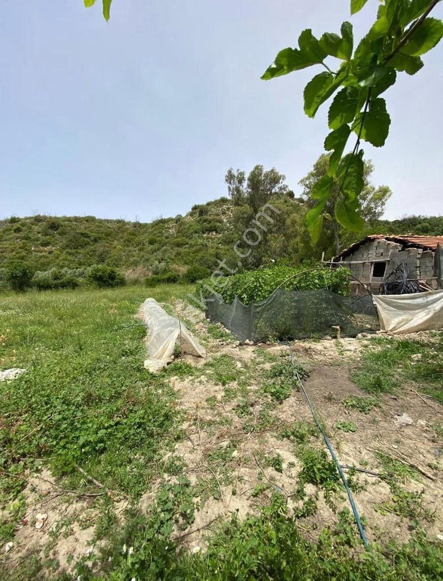 Yavrudoğan'da 2 Dönüm 650 Metrekare Tek Tapu Tarla Satılıktır - Görsel 10