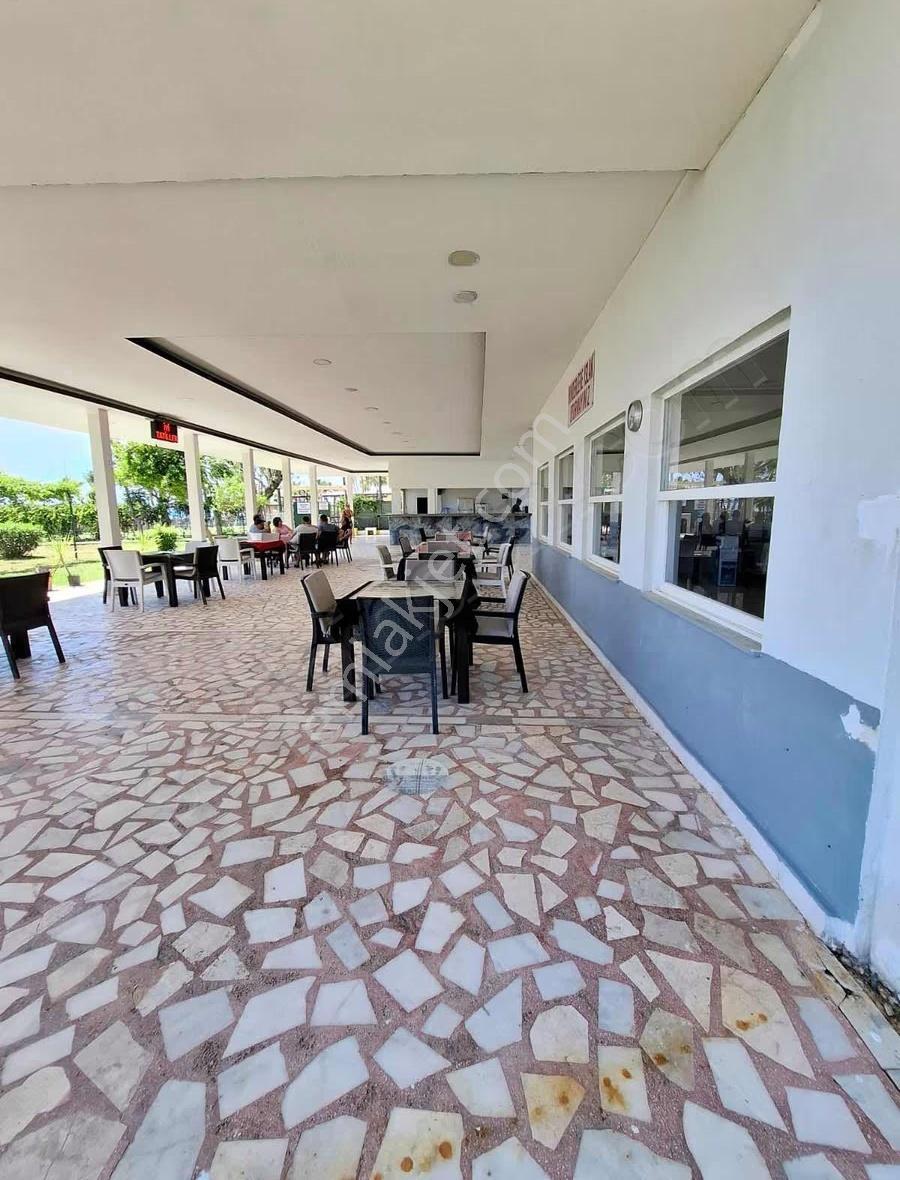 Ilıca Kumköy Mahallesi'nde 2 + 1 Denize Sıfır Konumda Kiralık - Görsel 11