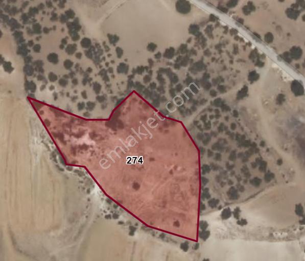 Sahibinden Buluklu'da 16 Kat İmarlı, Bulvar Üstü Ve Park Cepheli 7.550 M² Projelik Taşınmaz - Görsel 3