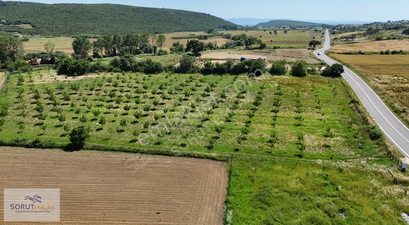 Edirne Keşan'da Bağ Evi İmarlı Ceviz Bahçesi: 15.387 M² - Görsel 11