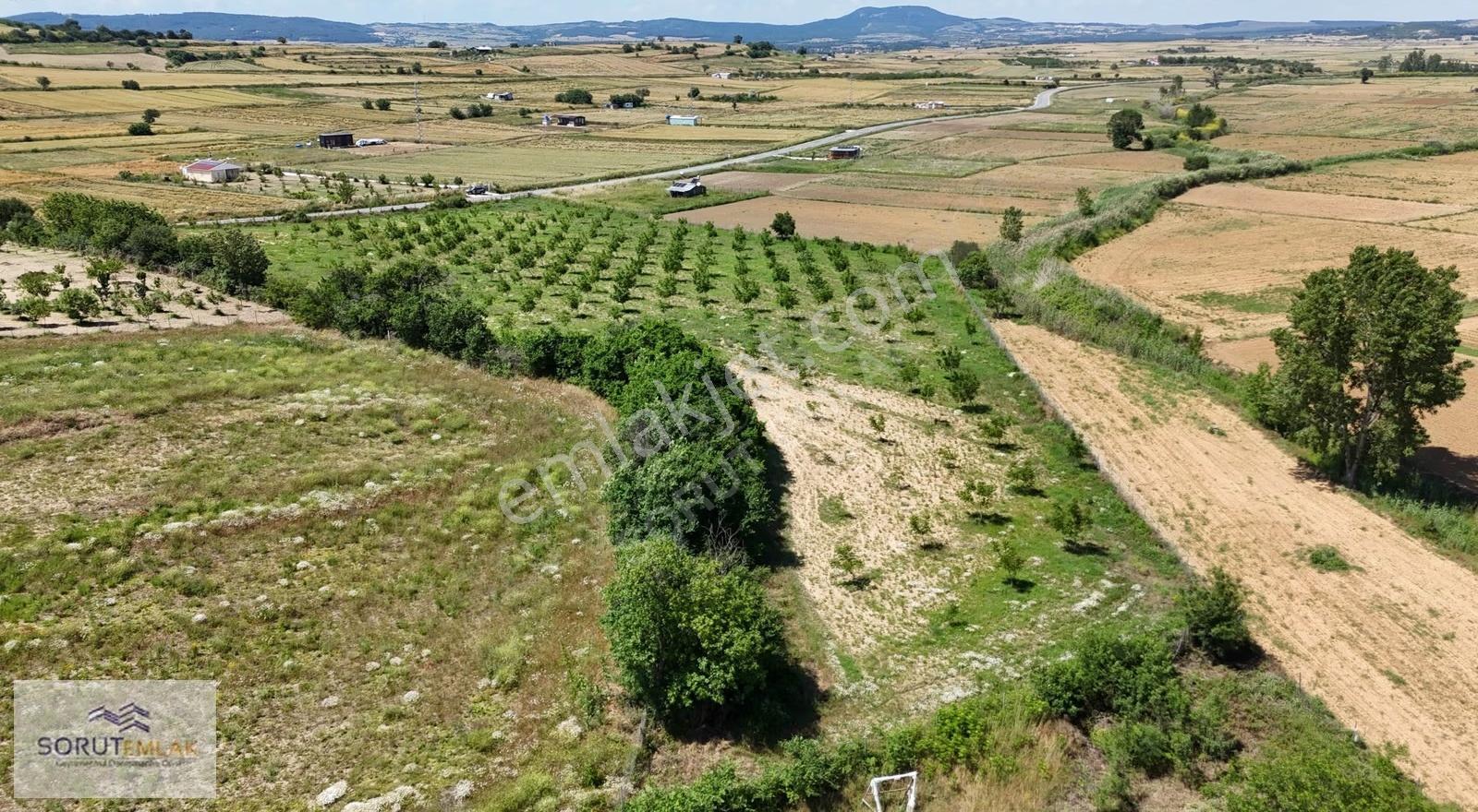 Edirne Keşan'da Bağ Evi İmarlı Ceviz Bahçesi: 15.387 M² - Görsel 14