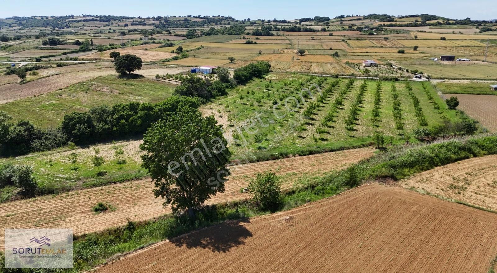 Edirne Keşan'da Bağ Evi İmarlı Ceviz Bahçesi: 15.387 M² - Görsel 30