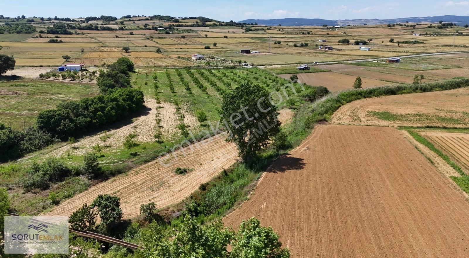 Edirne Keşan'da Bağ Evi İmarlı Ceviz Bahçesi: 15.387 M² - Görsel 4