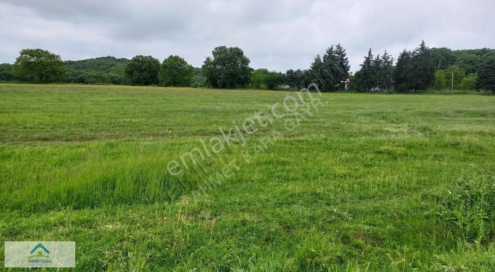 Gebze Ovacık Köyünde Kaçırılmayacak Yatırımlık 4.865 M2 Tarla - Görsel 4
